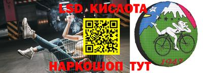 сатива Будённовск