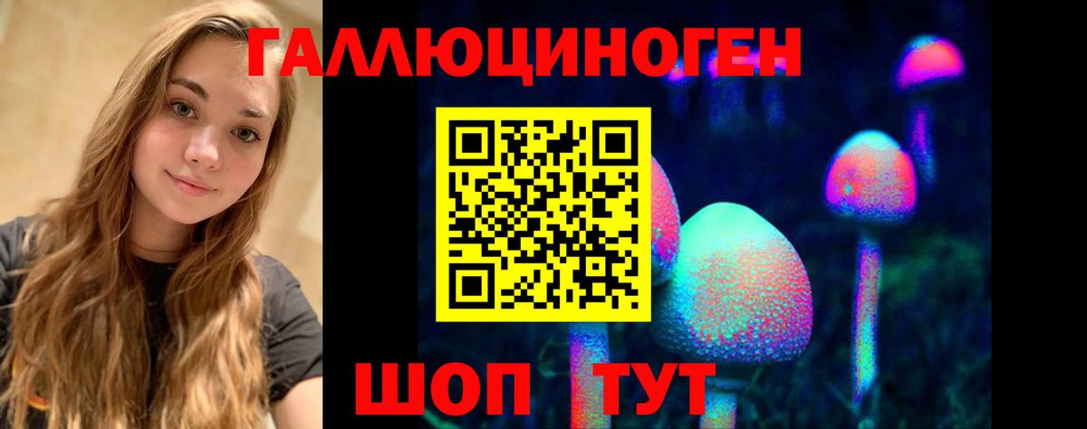 Галлюциногенные грибы Psilocybe  Вход с VPN  Псилоцибиновые грибы MAGIC MUSHROOMS  Тутаев 